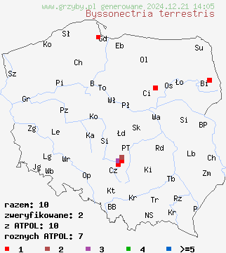 znaleziska Byssonectria terrestris (oranżówka naziemna) na terenie Polski