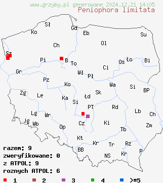 znaleziska Peniophora limitata (powłocznica jesionowa) na terenie Polski