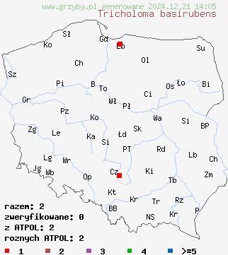 znaleziska Tricholoma basirubens na terenie Polski