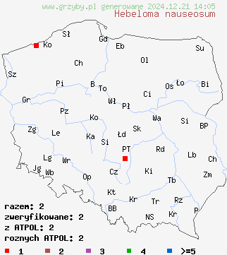 znaleziska Hebeloma nauseosum na terenie Polski