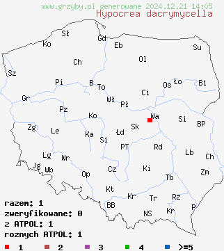 znaleziska Hypocrea dacrymycella na terenie Polski