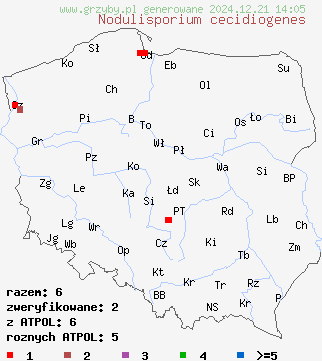 znaleziska Nodulisporium cecidiogenes na terenie Polski