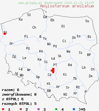 znaleziska Amylostereum areolatum (skórniczek świerkowy) na terenie Polski