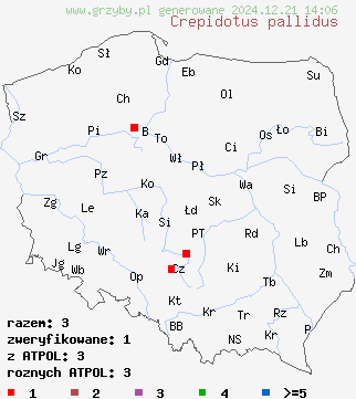 znaleziska Crepidotus pallidus na terenie Polski