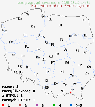 znaleziska Hymenoscyphus fructigenus (pucharek owocowy) na terenie Polski