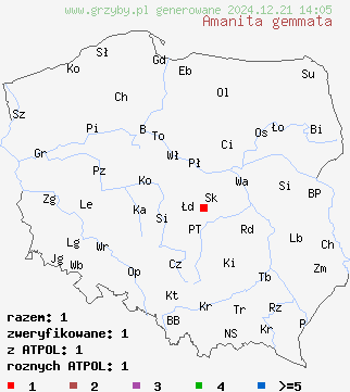 znaleziska Amanita gemmata (muchomor narcyzowy) na terenie Polski