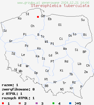 znaleziska Stereophlebia tuberculata na terenie Polski