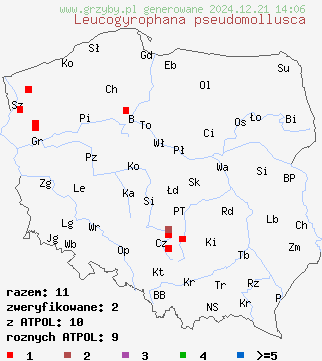 znaleziska Leucogyrophana pseudomollusca na terenie Polski