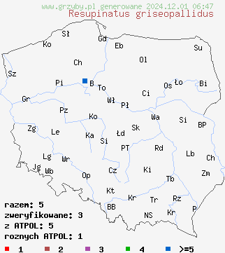 znaleziska Resupinatus griseopallidus na terenie Polski