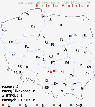 znaleziska Rectipilus fasciculatus (puchareczek białawy) na terenie Polski