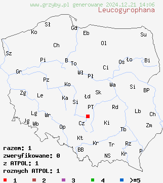 znaleziska Leucogyrophana na terenie Polski