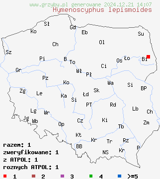 znaleziska Hymenoscyphus lepismoides na terenie Polski