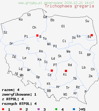 znaleziska Trichophaea gregaria na terenie Polski