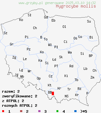 znaleziska Hygrocybe mollis na terenie Polski