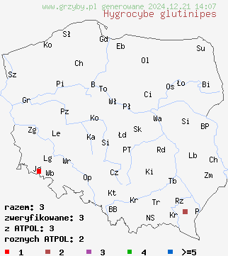 znaleziska Hygrocybe glutinipes na terenie Polski