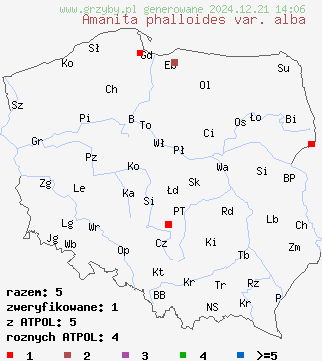 znaleziska Amanita phalloides var. alba (muchomor zielonawy odm. biała) na terenie Polski