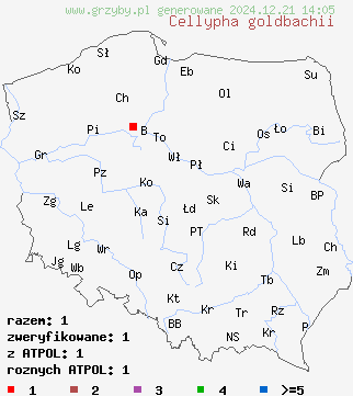 znaleziska Cellypha goldbachii na terenie Polski