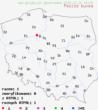 znaleziska Peziza buxea na terenie Polski