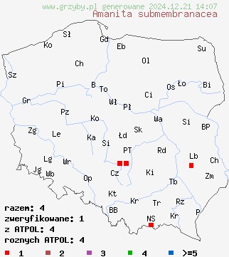 znaleziska Amanita submembranacea (muchomor brązowooliwkowy) na terenie Polski