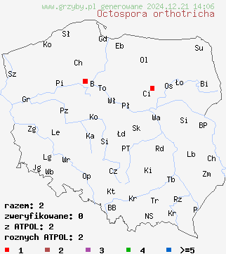 znaleziska Octospora orthotricha na terenie Polski