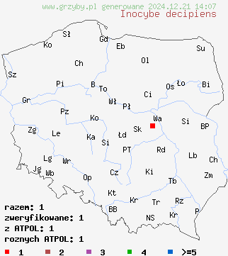 znaleziska Inocybe decipiens (strzępiak niepozorny) na terenie Polski