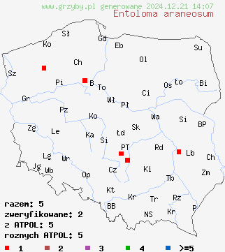 znaleziska Entoloma araneosum (dzwonkówka srebrzystowłóknista) na terenie Polski