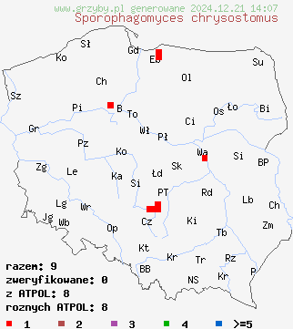 znaleziska Sporophagomyces chrysostomus na terenie Polski