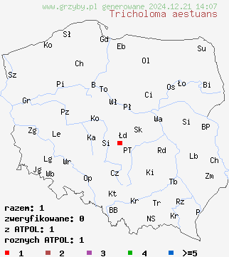 znaleziska Tricholoma aestuans na terenie Polski