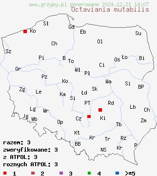 znaleziska Octaviania mutabilis na terenie Polski