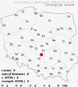 znaleziska Cenangium acuum na terenie Polski