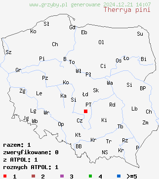 znaleziska Therrya pini na terenie Polski