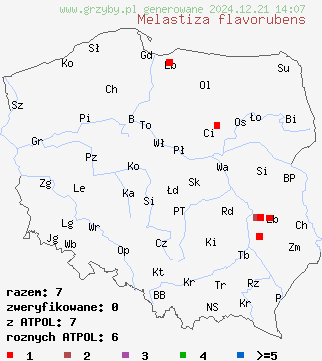 znaleziska Melastiza flavorubens na terenie Polski