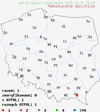 znaleziska Hemimycena epichloe na terenie Polski