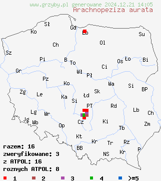 znaleziska Arachnopeziza aurata na terenie Polski