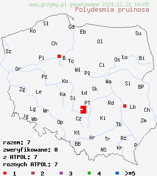 znaleziska Polydesmia pruinosa na terenie Polski