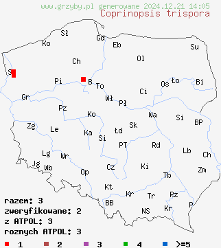 znaleziska Coprinopsis trispora (czernidłak trójzarodnikowy) na terenie Polski