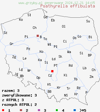 znaleziska Psathyrella effibulata na terenie Polski