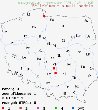 znaleziska Britzelmayria multipedata (kruchaweczka kępkowa) na terenie Polski