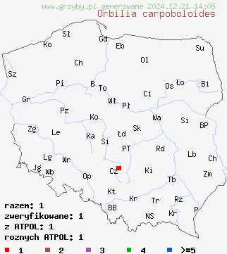 znaleziska Orbilia carpoboloides na terenie Polski