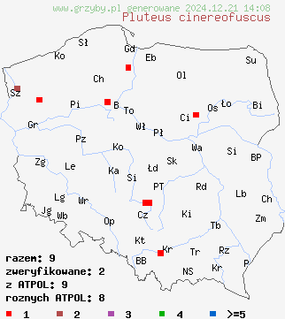 znaleziska Pluteus cinereofuscus (drobnołuszczak szarobrązowy) na terenie Polski