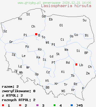 znaleziska Lasiosphaeria hirsuta na terenie Polski