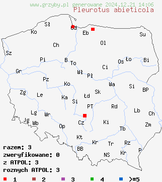 znaleziska Pleurotus abieticola na terenie Polski