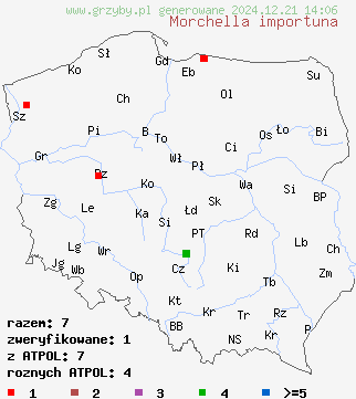 znaleziska Morchella importuna na terenie Polski