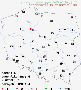 znaleziska Xerocomellus ripariellus (suchogrzybek przybrzeżny) na terenie Polski