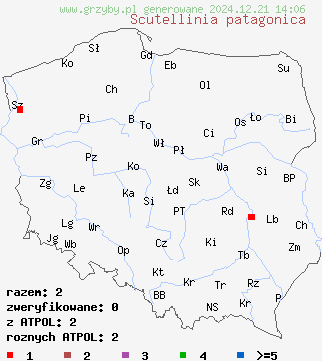 znaleziska Scutellinia patagonica na terenie Polski