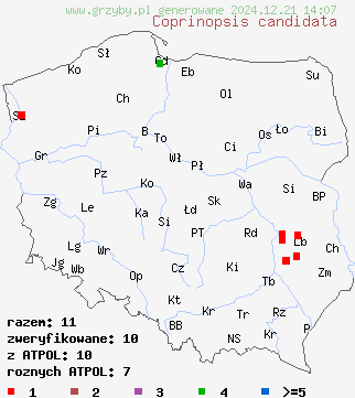 znaleziska Coprinopsis candidata na terenie Polski