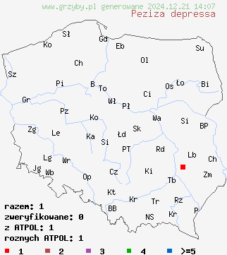 znaleziska Peziza depressa na terenie Polski