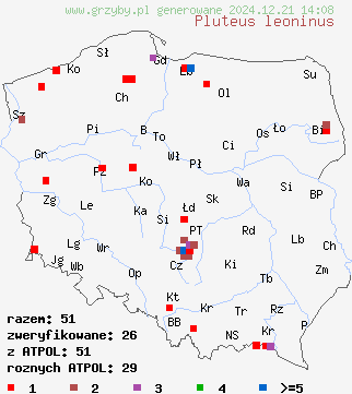 znaleziska Pluteus leoninus (drobnołuszczak żółtawy) na terenie Polski