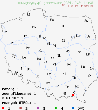 znaleziska Pluteus nanus (drobnołuszczak malutki) na terenie Polski