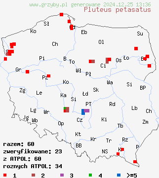 znaleziska Pluteus petasatus (drobnołuszczak trocinowy) na terenie Polski